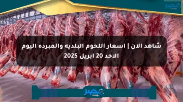 شاهد الآن | أسعار اللحوم البلدية والمبردة اليوم الأحد 20 أبريل 2025